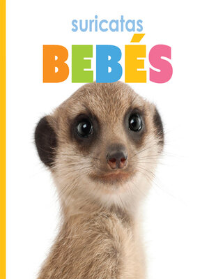 cover image of suricatas bebés